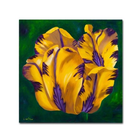 Trademark Fine Art Lily van Bienen 'Yellow Virus Tulip' Canvas Art, 35x35 ALI5676-C3535GG